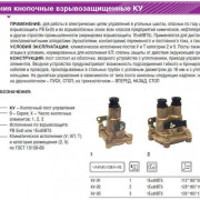 Пост кнопочный КУ-91 1ExdIIBT5 ВЭЛАН