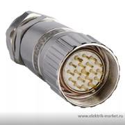 Разъем М23 прямой 19 (XZCC23MDM190S)