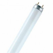 Лампа люминесцентная L 18W/77 FLUORA 18Вт T8 7700К G13 OSRAM 4050300004235