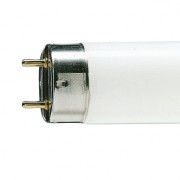 Лампа линейная люминесцентная ЛЛ 36вт T8 36/765 2 30В G13 (14098889)